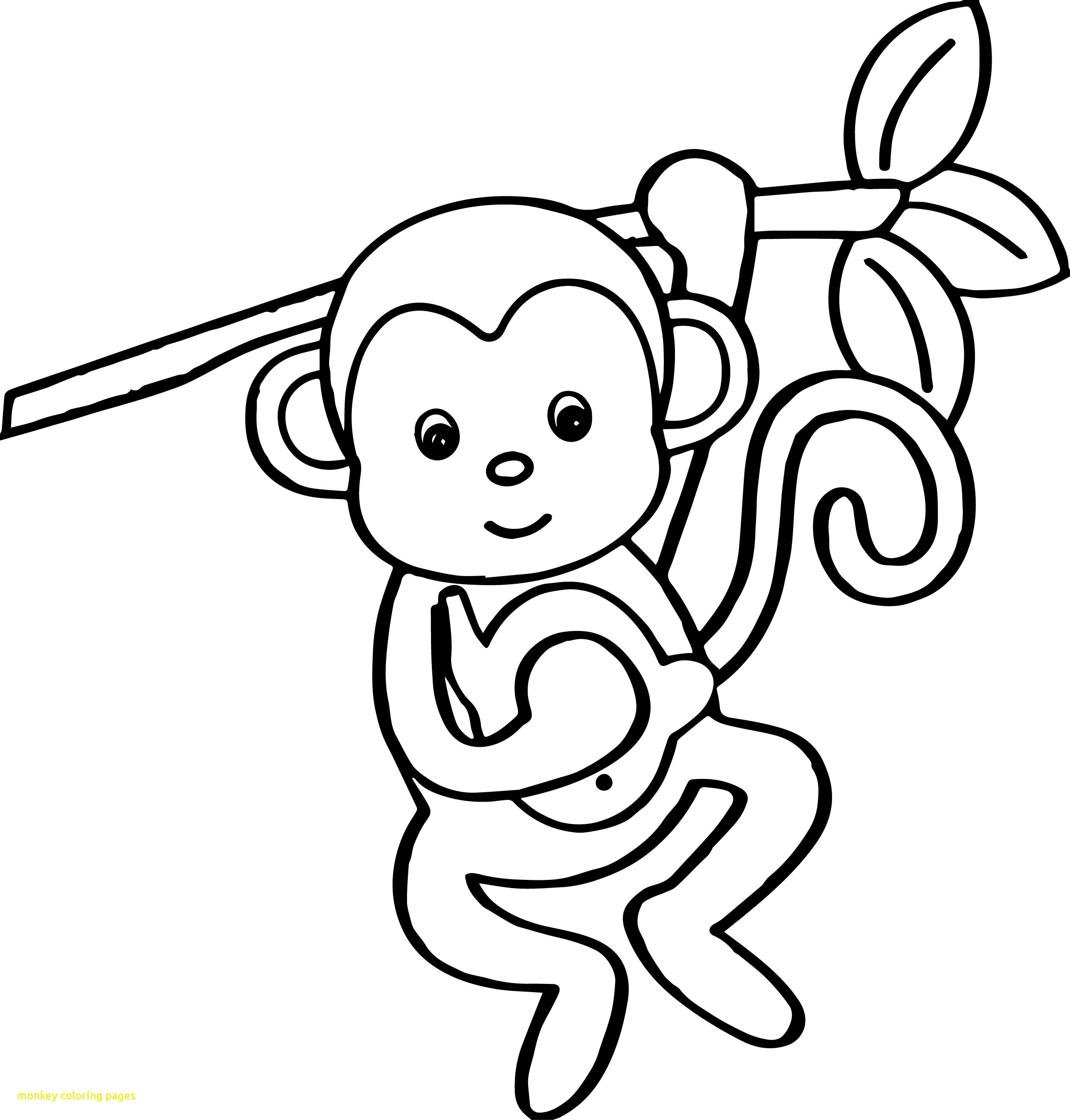 Monkey Coloring Pages With Cartoon Animals Kids Monkey Coloring 2500x2617 Monkey Coloring Pages With Cartoon Animals Kids Monkey Coloring