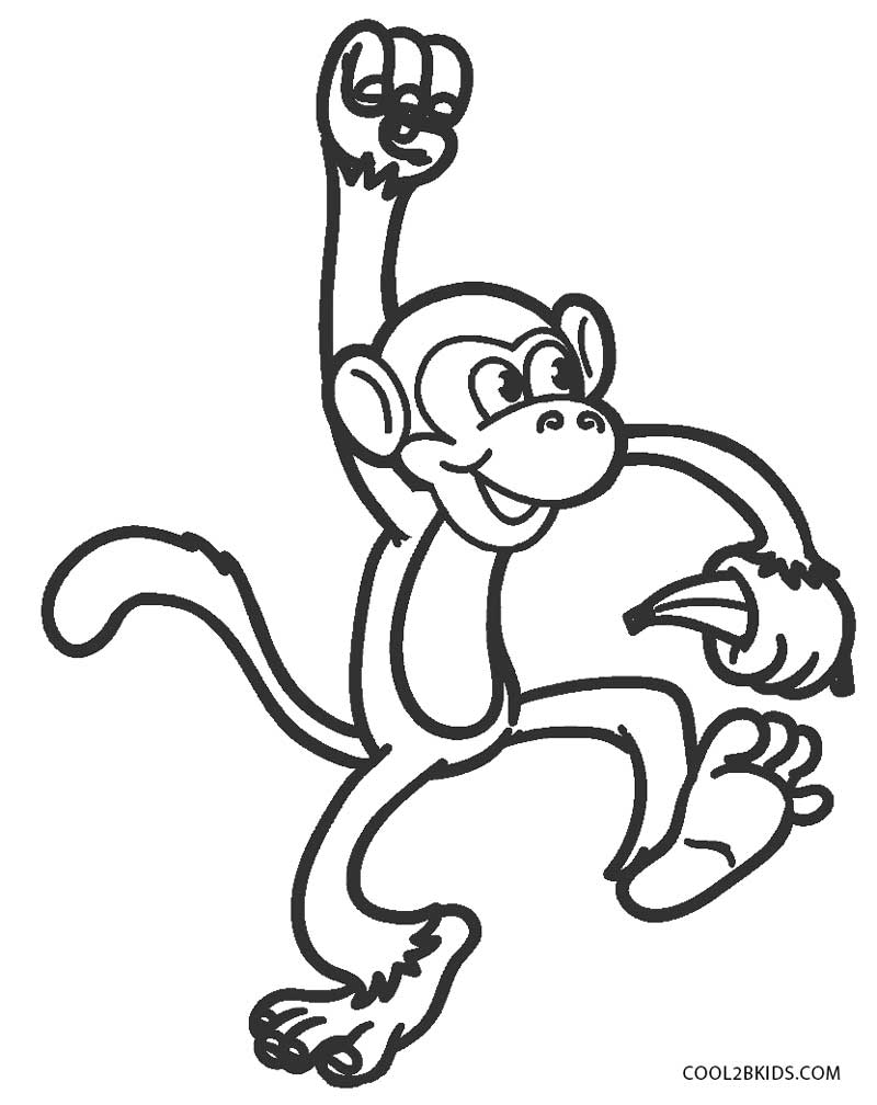 800x1008 Free Printable Monkey Coloring Pages For Kids Cool2bkids