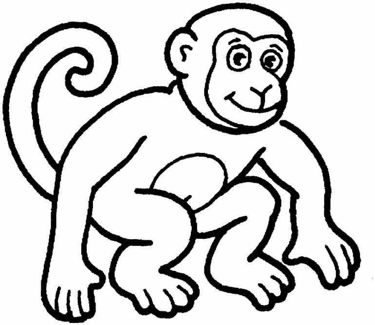 770x667 Monkey Coloring Sheet 16 Free Monkey Coloring Pages Monkey