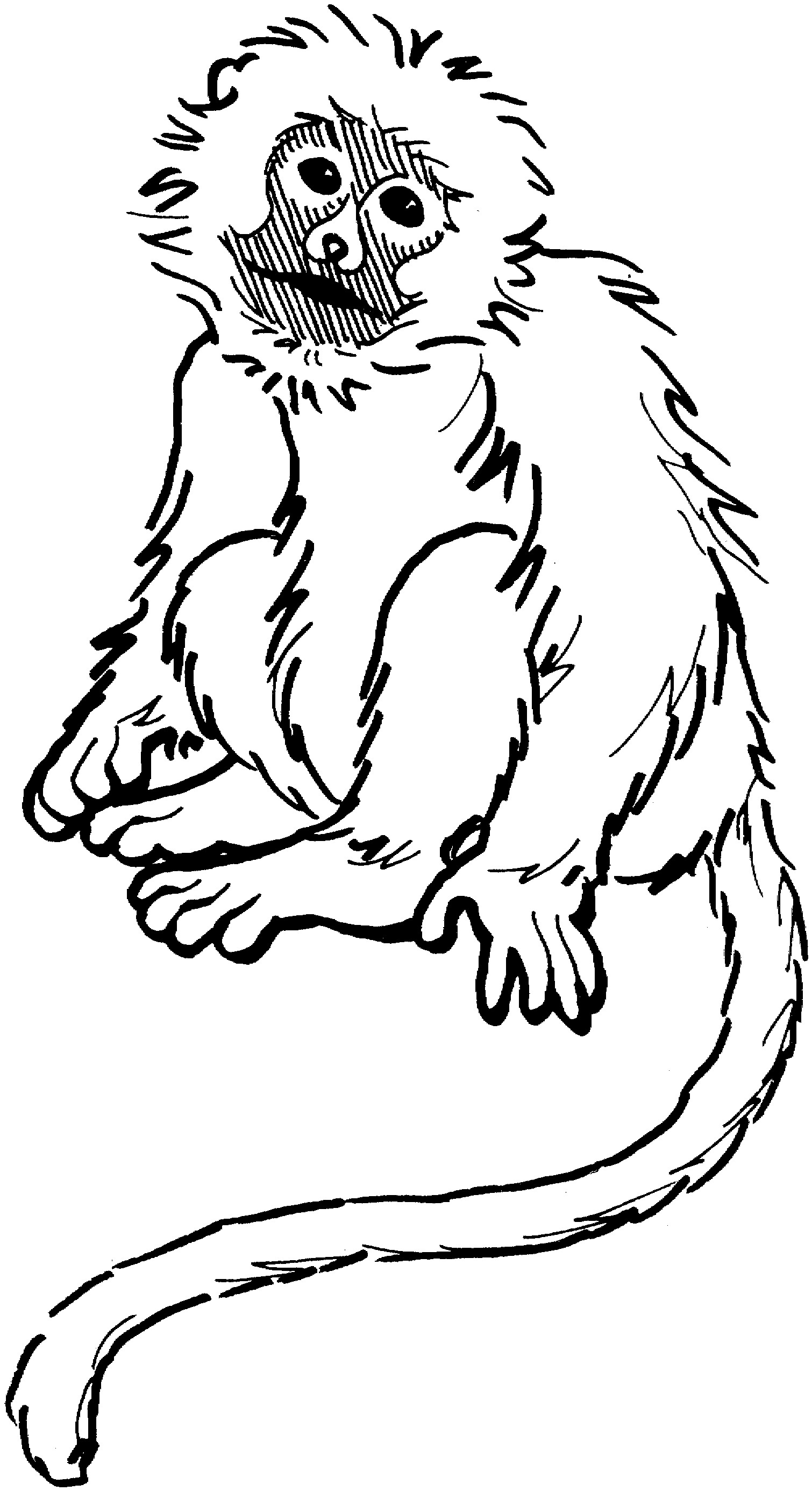 1510x2771 Printable Monkey Coloring Pages Coloring Me