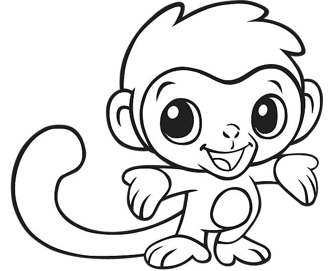 Monkey Coloring Pages For Preschoolers Medium Size Of Cute Monkey 650x537 Monkey Coloring Pages For Preschoolers Medium Size Of Cute Monkey