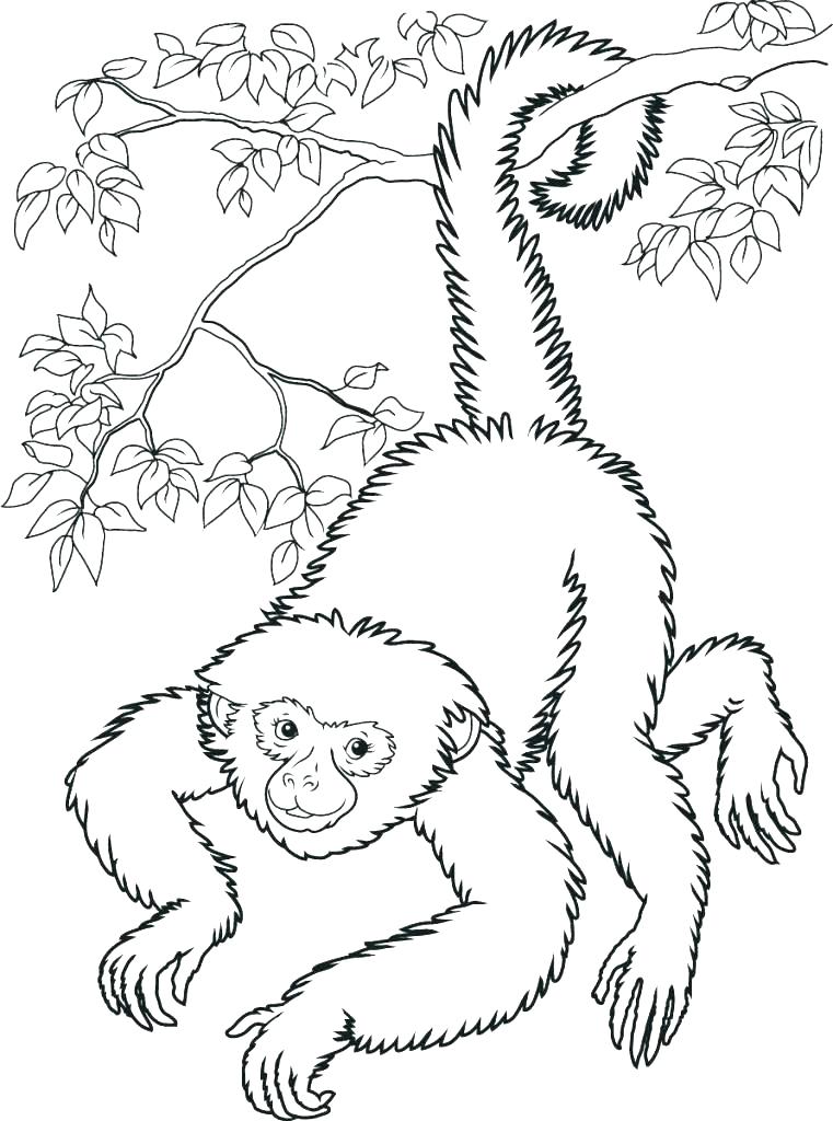 Monkey Coloring Pages Printable Sock Monkey Coloring Pages Sock 761x1024 Monkey Coloring Pages Printable Sock Monkey Coloring Pages Sock