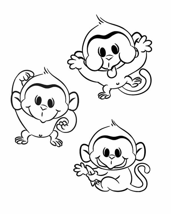 Three Funny Monkey Coloring Page 600x750 Three Funny Monkey Coloring Page