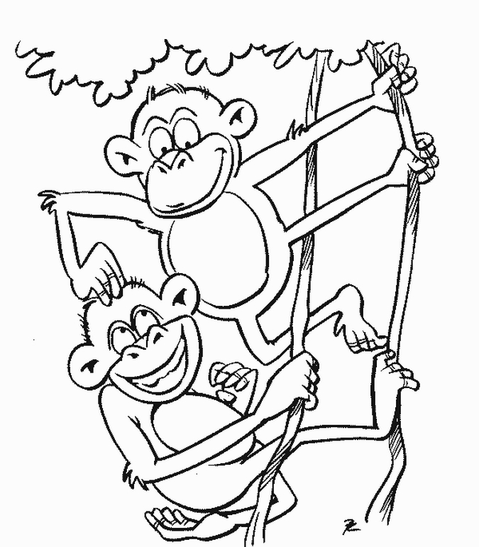 Impressive Decoration Monkey Coloring Page Monkey Coloring Sheets 675x771 Impressive Decoration Monkey Coloring Page Monkey Coloring Sheets