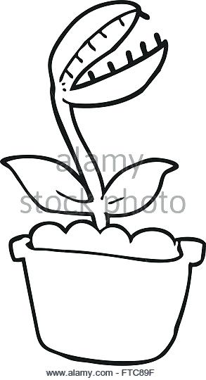 293x540 Fly Trap Black And White Stock Photos Images Freehand Drawn Black