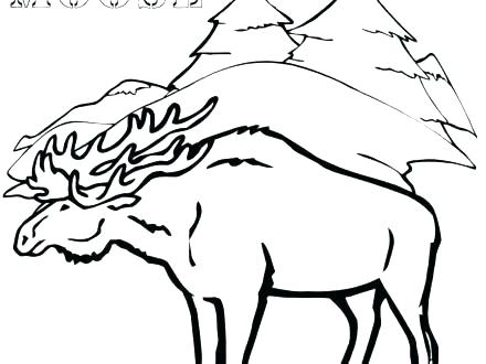 440x330 Moose Coloring Pages Moose Coloring Book Moose Coloring Page Elk