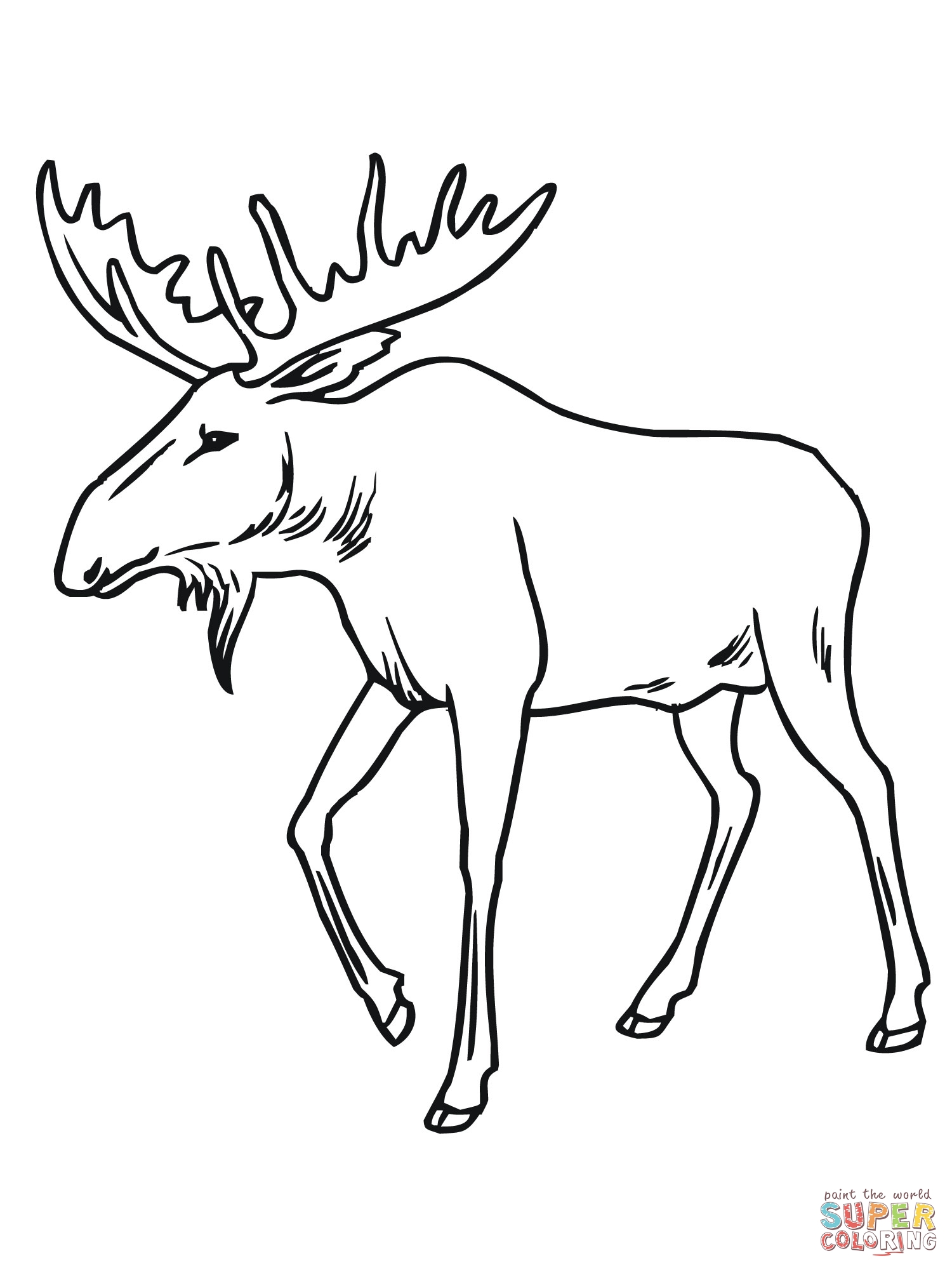 1500x2000 Bull Moose Coloring Page 1500 2000 To Print
