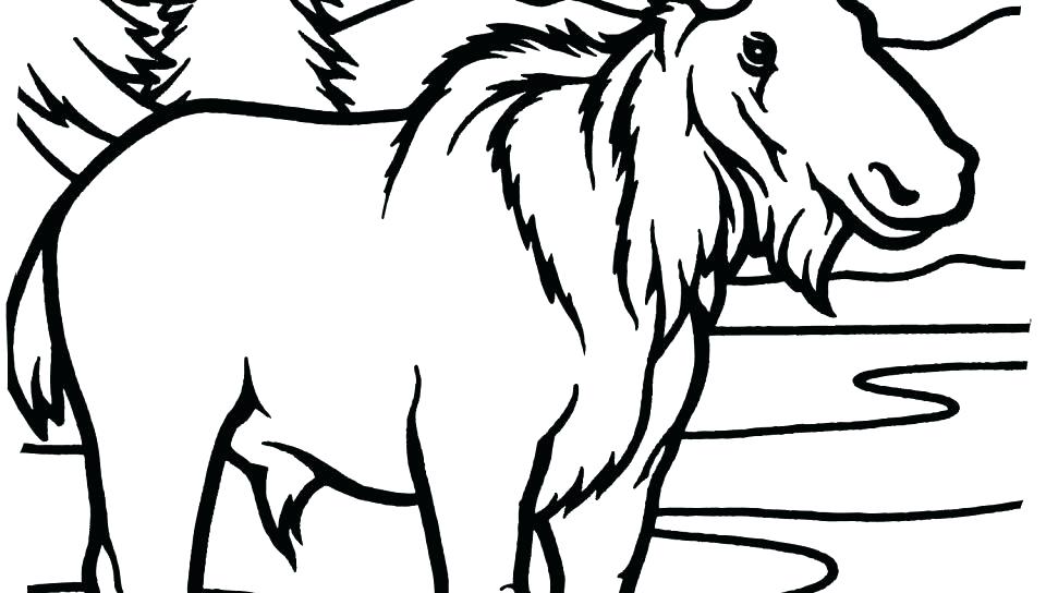 960x544 Moose Coloring Page Blueberry Muffin Colouring Pages Free