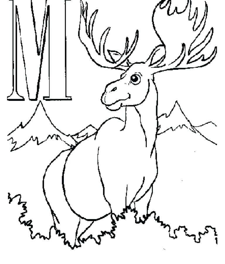 768x900 Moose Coloring Page Moose Coloring Page Moose Coloring Page