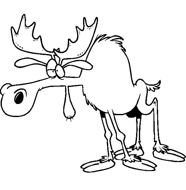 600x612 Boring Moose Moose Coloring Page