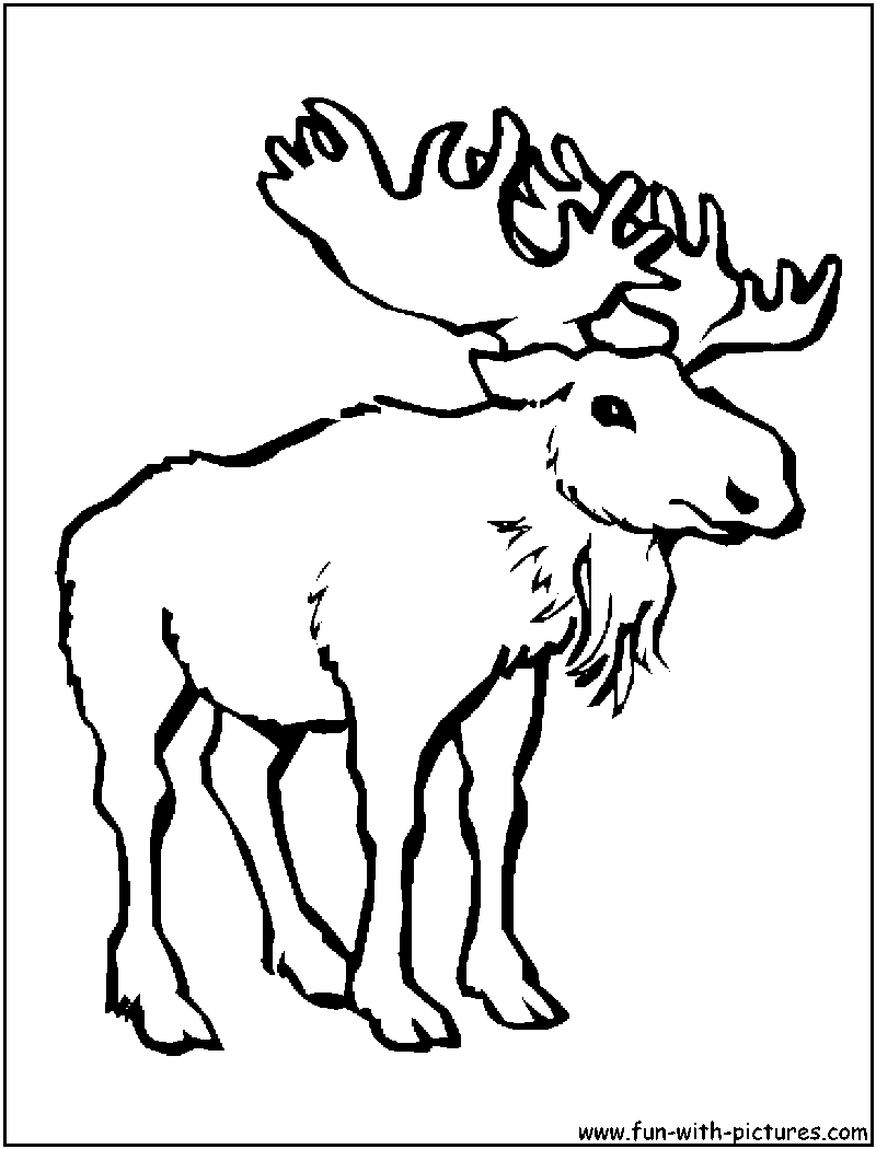 800x1050 Moose Coloring Pages Elliot Moose Coloring Pages Kids Coloring Pages