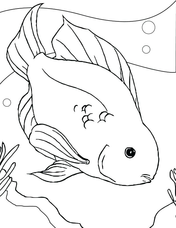 618x800 Eel Coloring Page Realistic Fish Coloring Pages Impressive Fish