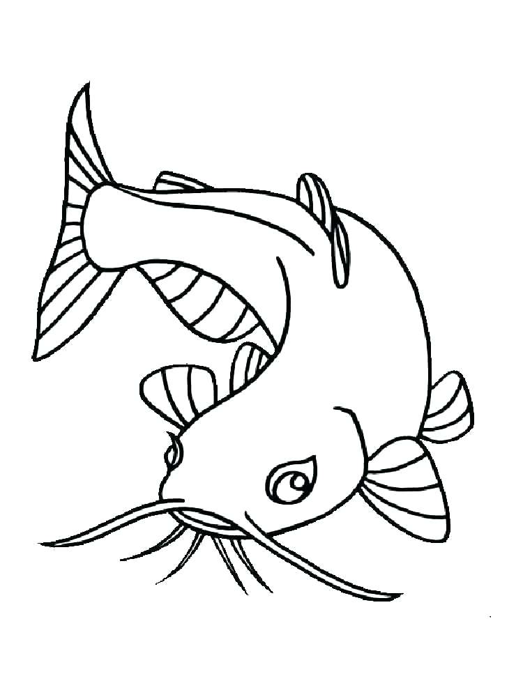 750x1000 Eel Plus Click To See Printable Version Of Eel Coloring Page