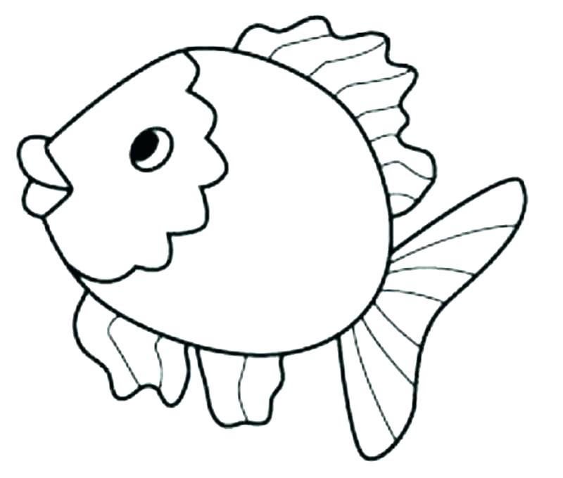 800x680 Eel Coloring Page Eel Coloring Page Moray Eel Coloring Page