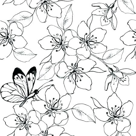 450x450 Lovely Cherry Blossom Coloring Pages Or Garden More Coloring Pages