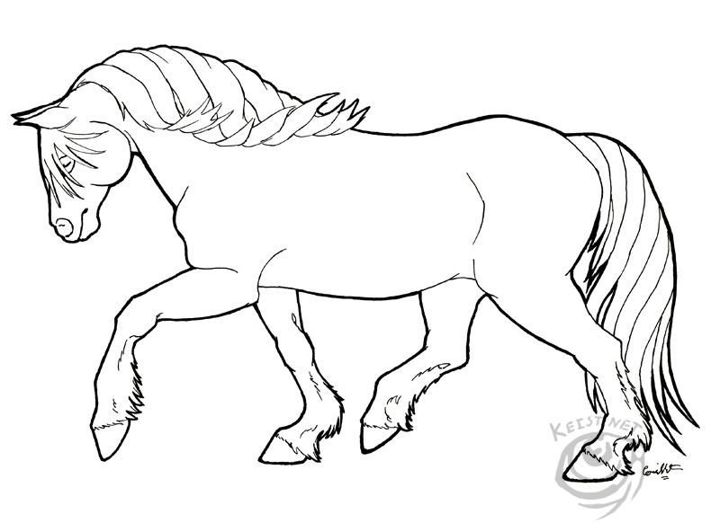 Haflinger Coloring Page By Lantairvlea 800x582 Haflinger Coloring Page By Lantairvlea