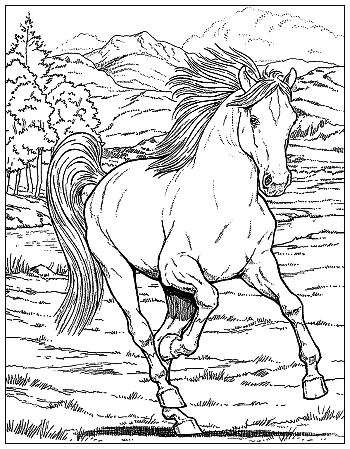 Mustang Horse Coloring Pages Pictures To Color Resume Readgyan 1400x1794 Mustang Horse Coloring Pages Pictures To Color Resume Readgyan