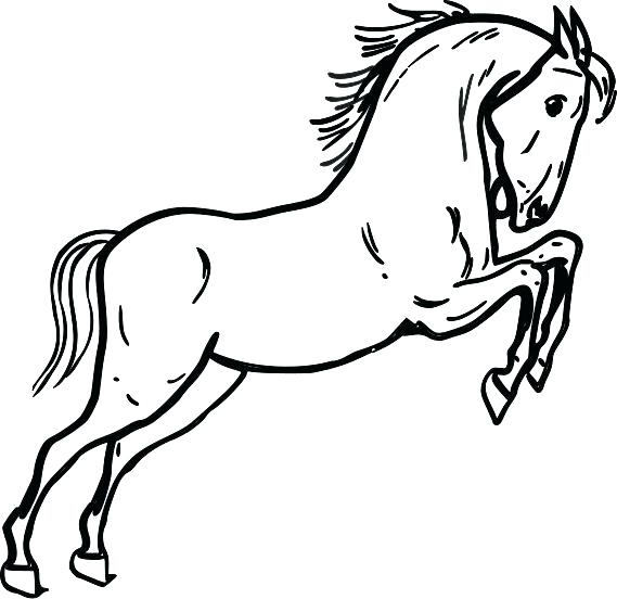 Unicorn Coloring Sheets Google Images Search Engine Unicorns 569x552 Unicorn Coloring Sheets Google Images Search Engine Unicorns