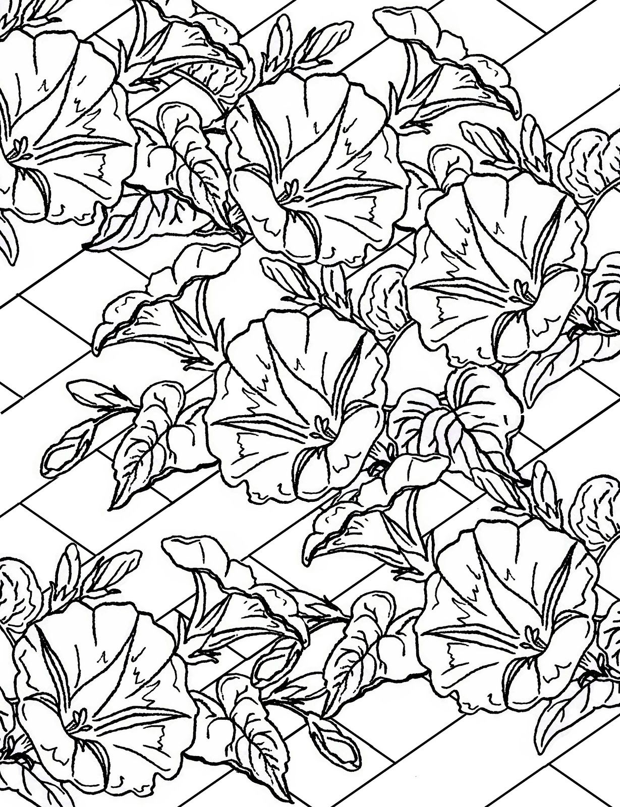 Trellis Coloring Pages 1229x1600 Trellis Coloring Pages