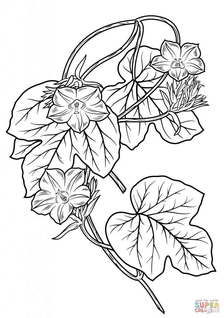Coloring Pages Anita Boeira 723x1024 Coloring Pages Anita Boeira