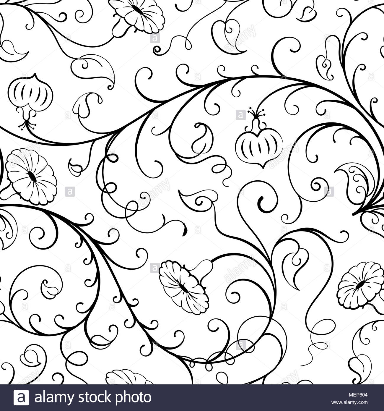 Morning Glory Flower Black And White Stock Photos Amp Images 1300x1390 Morning Glory Flower Black And White Stock Photos Amp Images