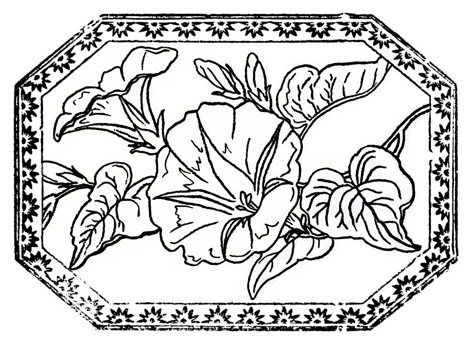 Morning Glory Coloring Pages Ej Gaines Mizzou Mega Evolution 1600x1170 Morning Glory Coloring Pages Ej Gaines Mizzou Mega Evolution