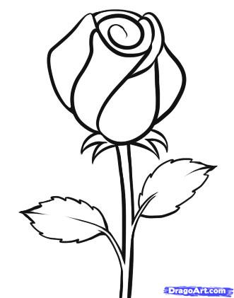 Simple Drawing Flowers How To Draw Morning Glory Flower Step Step 331x421 Simple Drawing Flowers How To Draw Morning Glory Flower Step Step