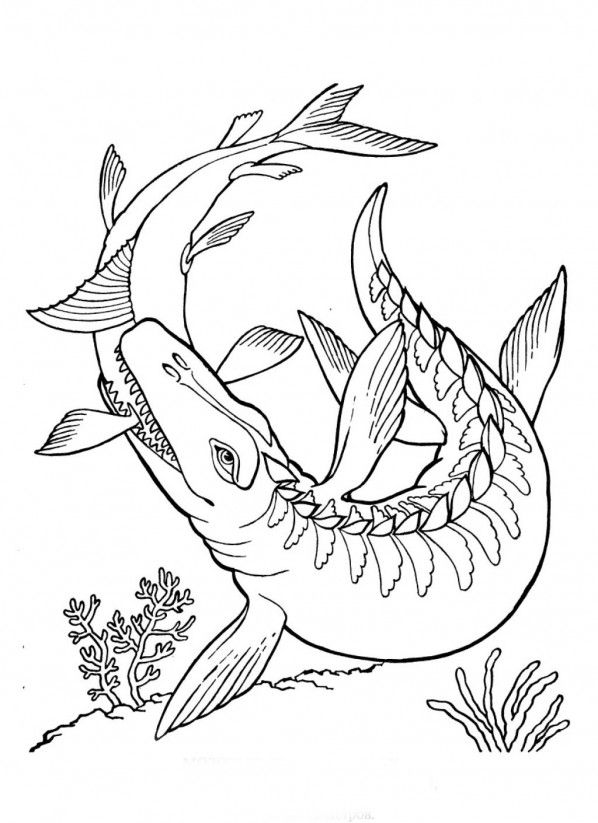 598x823 Printable Mosasaurus Dinosaur Coloring Pages
