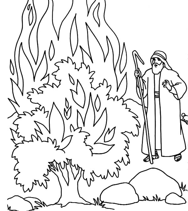 600x673 Fire Burning Bush In Fornt Of Moses Coloring Pages