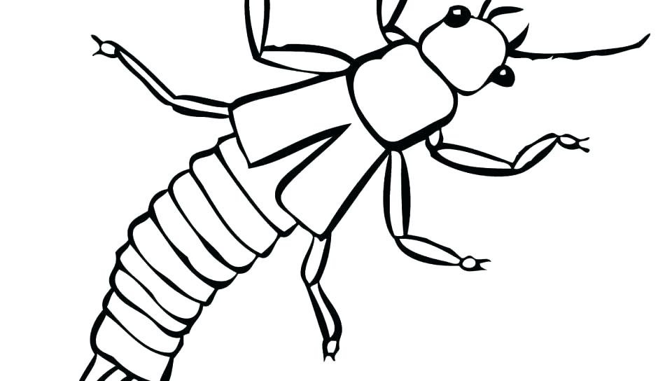 960x544 Mosquito Coloring Page Mosquito Larvae Coloring Page