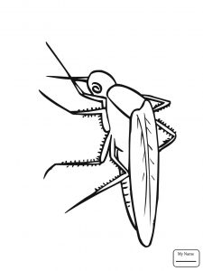 225x300 Coloring For Kids Printable Bug Pages 293018 Mosquito Free