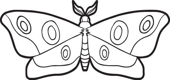 550x261 Moth Coloring Page Moth, Free Printable And Teaching Kids