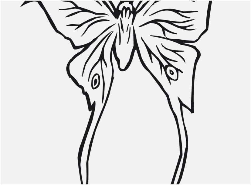 827x609 A Good Image Caterpillar Coloring Pages Free Marvelous