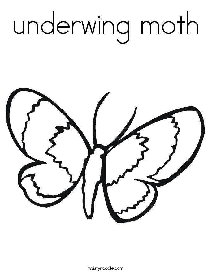 685x886 Underwing Moth Coloring Page