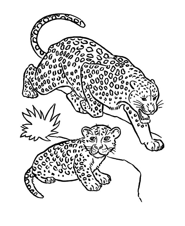 600x734 Mother Leopard Keeping Her Baby Coloring Pages Batch Coloring