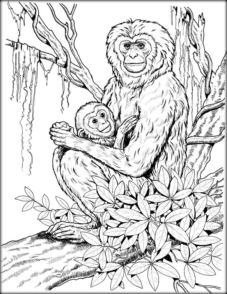 793x1024 Mother Earth Coloring Pages Best Of Baby Primates