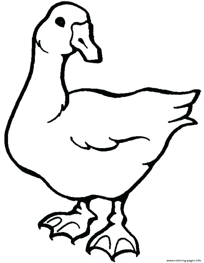 Goose Coloring Page S S S S Mother Goose Coloring Pages Free 687x886 Goose Coloring Page S S S S Mother Goose Coloring Pages Free