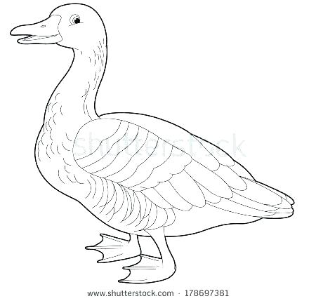 Mother Goose Coloring Pages Free Goose Coloring Pages Nursery 450x429 Mother Goose Coloring Pages Free Goose Coloring Pages Nursery