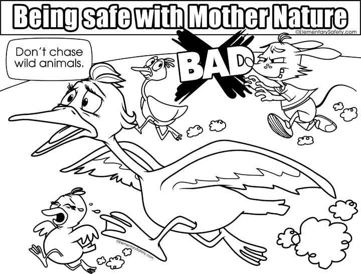 720x546 Dont Chase Wild Animals Coloring Mother Nature Safety