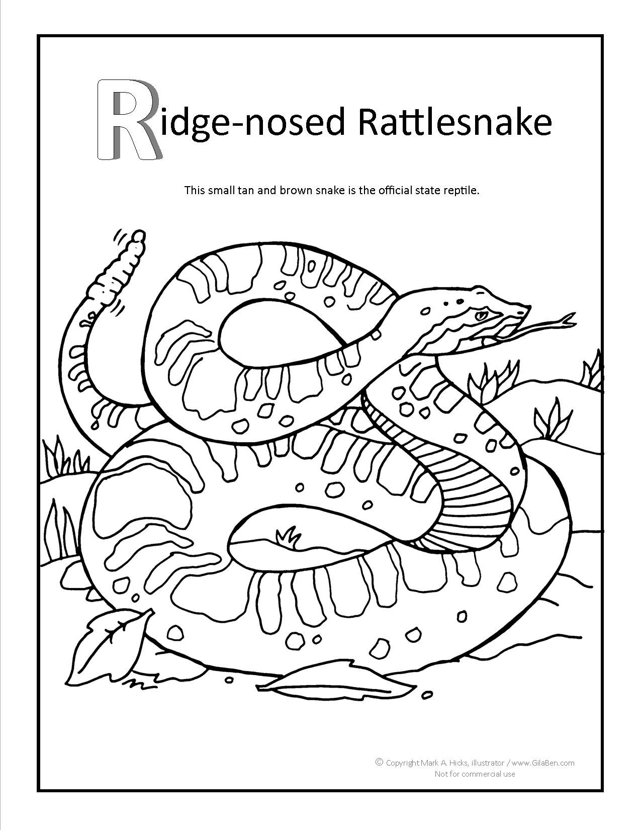 Ridge Nosed Rattlesnake Coloring Page 1275x1650 Ridge Nosed Rattlesnake Coloring Page
