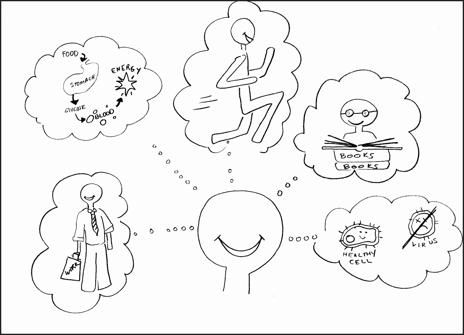 1488x1076 Parts Of A Plant Coloring Page Newcoloring123