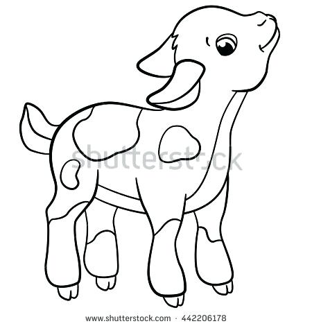 Goat Coloring Pages Coloring Pages Farm Animals Little Cute Stock 450x470 Goat Coloring Pages Coloring Pages Farm Animals Little Cute Stock
