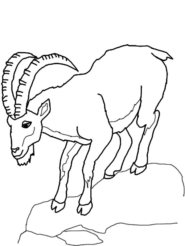 Mountain Goat Climb Down Hill Coloring Pages Color Luna 600x799 Mountain Goat Climb Down Hill Coloring Pages Color Luna