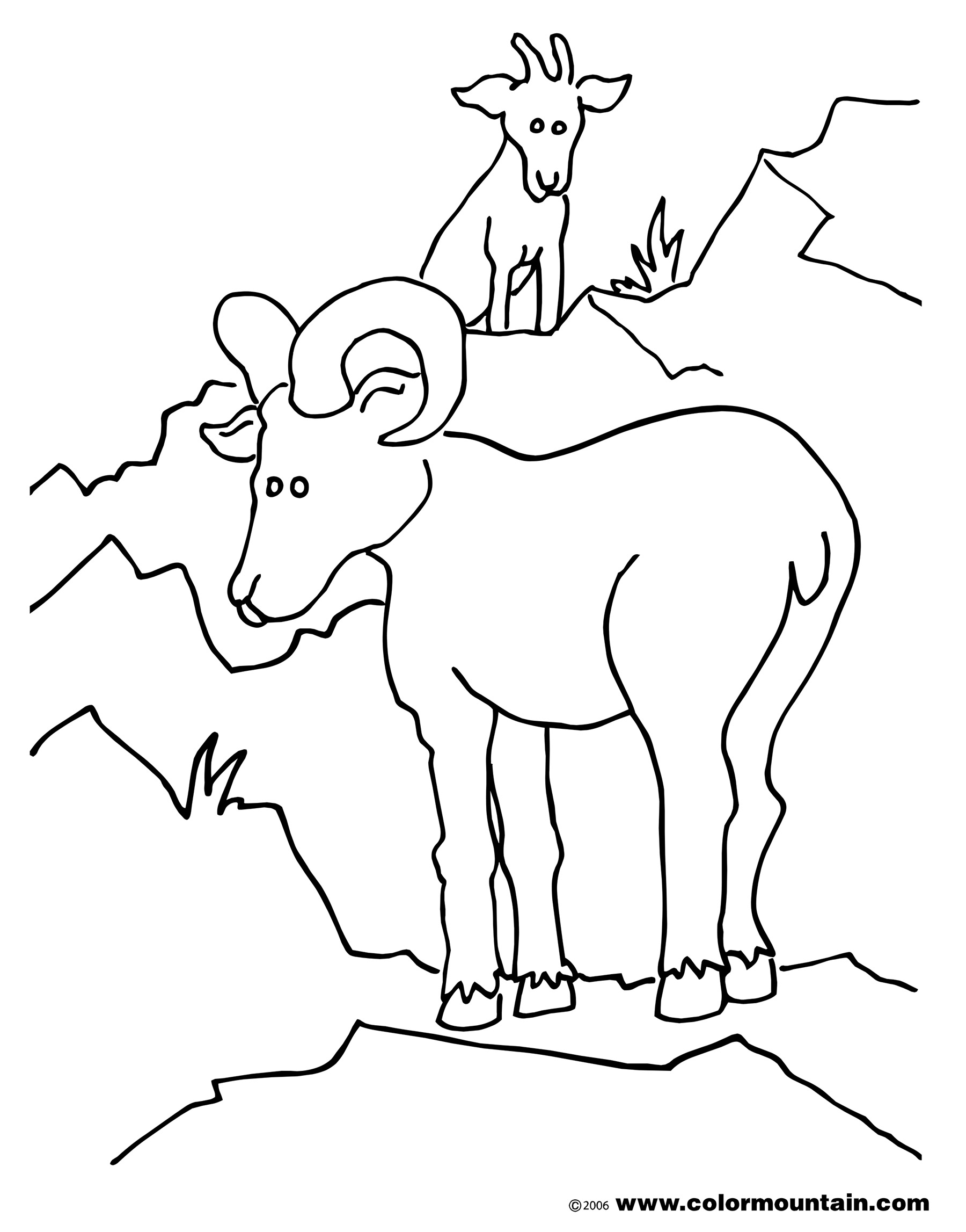 Mountain Goat Coloring Page 1800x2294 Mountain Goat Coloring Page