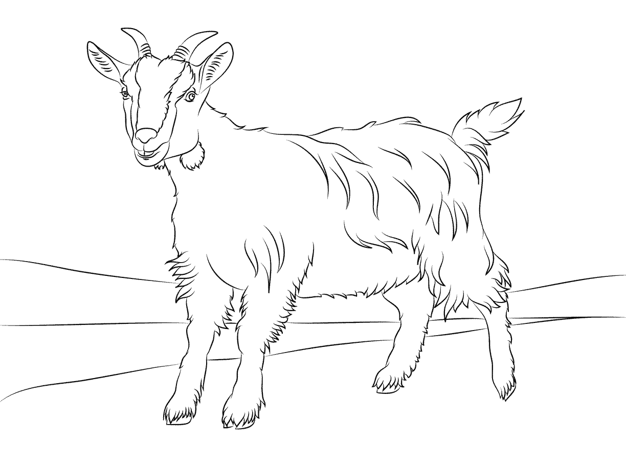 Coloring Pages Farm Animals Cute Billy Goat Smiles Free Printables 1224x916 Coloring Pages Farm Animals Cute Billy Goat Smiles Free Printables