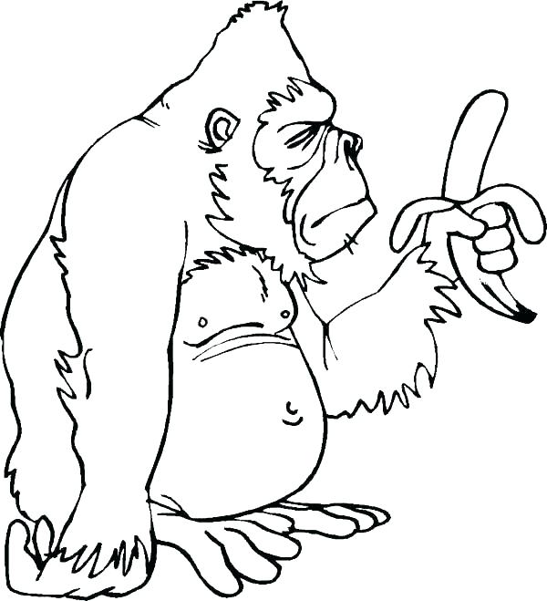 600x659 Gorilla Coloring Pictures Gorilla Coloring Pages With Gorilla