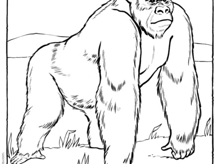 440x330 35 Gorilla Coloring Pages, Gorilla Dance Coloring Page