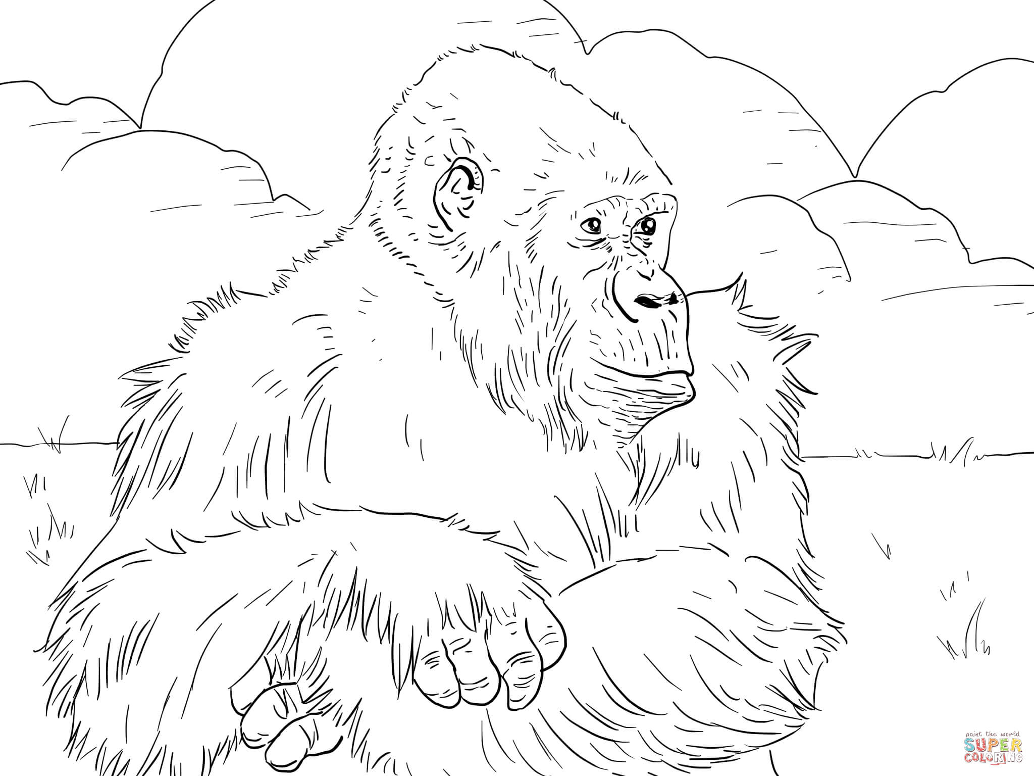 2048x1536 Mountain Gorilla Coloring Page