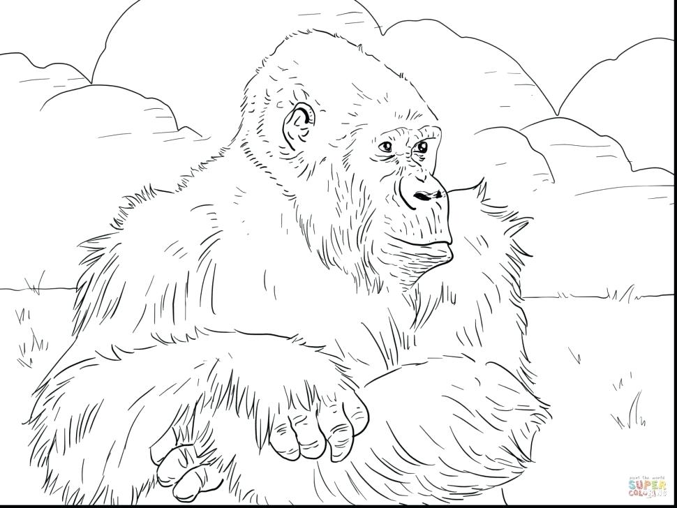 970x728 Mountains Coloring Page Coloring Page Monkey Village In