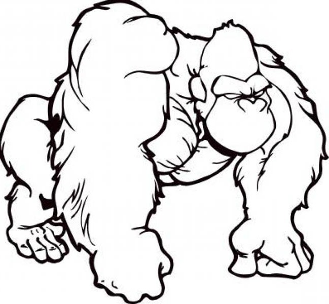 649x600 Gorilla Coloring Pages To Print Gorilla Coloring Pages 62 For Your